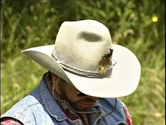 Cowboy trick in his youth Stute in der Wildnis