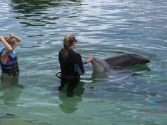 Paris gets to meet some dolphins!