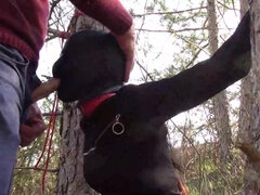 Tied To A Tree On A Sensual Outfit, Masked And Outdoor Deepthroating With No Mercy - Oral Sex