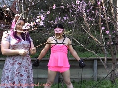 Sissy Spring Blossom Foursome Punishment Outdoor