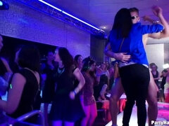 Amatőr, Tekintélyes didik, Meztelen faszik, Pénisz, Női, Orgia, Harisnya, Swingers