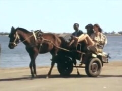 Zastarané