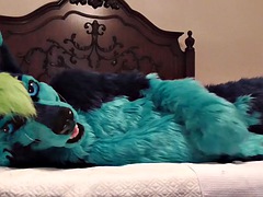 Fun before bed - fun in a fur suit
