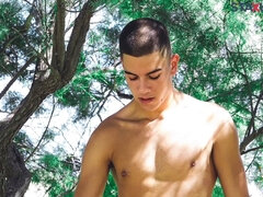 Verga grande, Gay