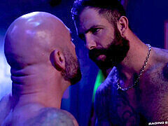 Anale, Gay, Muscolo