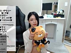 Korean bj