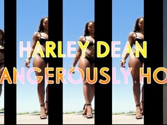 Harley Dean - Dangerously Hot