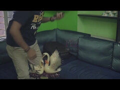 Culo, Hardcore, Indiana, Figa, Ragazza, Tette