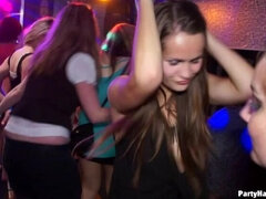Enthousiasteling, Pijpbeurt, Bruinharig, Groep, Handbeurt, Hardcore, Likken, Feest