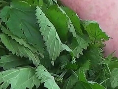 Amatorka, Związanie dyscyplina & dominacja uległość, Duży tyłek, Duża łechtaczka, Fetysz, Włochaty, Solo, Spanking