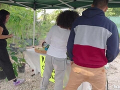 Popó, Kisbaba, Hatalmas hátsó, Tekintélyes didik, Cumizás, Kőkemény, Nuni, Begyek