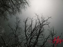 Жопа, Большая жопа, Большие сиськи, Брюнетки, Лесбиянка, Милф, Молоденькие