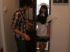 Brunette maid and additionally Japanese guy