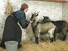 Anaal, Pijpbeurt, Groepseks, Orgie, Feest