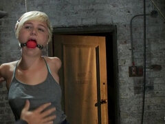 Bdsm, Bondage, Dominans, Fingering, Förödmjukelse, Bestraffning