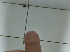 Amatööri, Amerikkalainen, Vessa, Itsetyydytys, Julkinen, Soolo