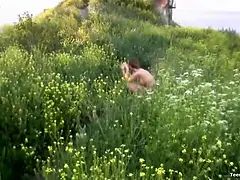 Mamada, Corridas, Hd, Al aire libre, Gritar, Adolescente