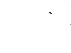 Analno, Bdsm, Fafanje, Bondage, Ponižanje, V javnosti, Grobo, Sužnja