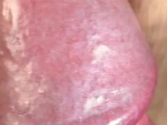 Amatööri, Kermakakku, Kotitekoinen, Äiti jota haluaisin panna, Orgasmi, Pikkarit, Pillu, Vaimo