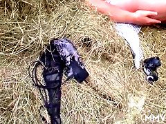 Amateur, Culo, Granja, Sexo duro, Hd, Lamidas, Madres para coger, Mamá