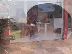Noire, Fille latino, Lesbienne, Orgasme, Piscine, Chatte, Adolescente, Serré