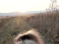 Blonde, Sucer une bite, Éjaculation interne, Gorge profonde, Hd, De plein air, Pov, Avaler