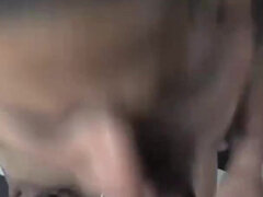 Amatéři, Černé, Kuřba, Bondáž, Švýcarské, Svázaná