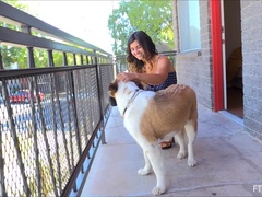 Categoria - Brinquedos