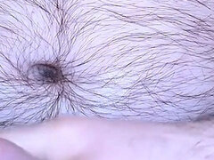 Bear Bounces Bull Balls and Huge Cock While Bating and Cum