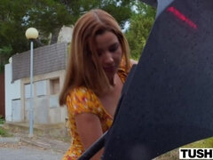 Anaali, Ranta, Bikinit, Syväkurkku, Takaapäin, Ratsastaa, Tangat, Tissit