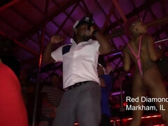 Amatööri, Musta, Tumma, Pornotähti