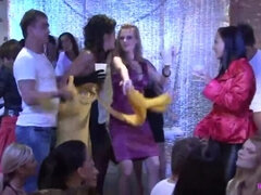 Kotě, Kuřba, Šílené, Lesbické, Výprask, Přírodní prsa, Orgie, Párty