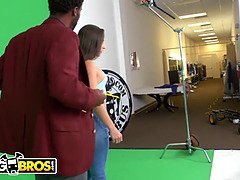 Iso perse, Iso kulli, Suihinotto, Kyrpä, Rankka, Sekarotuinen, Hirviö