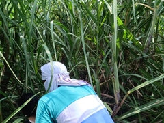 Amatööri, Pariskunta, Ulkona