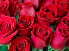 Perseestä suuhun, Iso perse, Intialainen, Vanhempi, Äiti jota haluaisin panna, Äiti