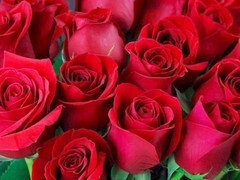 Amatör, Stjärt mot mun, Moster, Stor stjärt, Avsugning, Hemmagjord, Indisk, Mamma