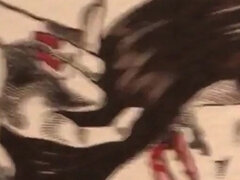 Amatör, Kontor, Solo