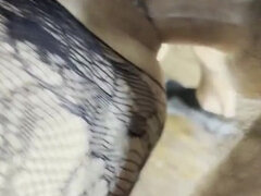 Blondi, Kermakakku, Spermashotti, Ryhmäpano, Vanhempi, Sukkahousu, Tiukka, Tissit