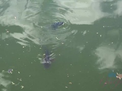 Amateur, Botas, Emo, Novia, Afeitado, Cabello corto, Flaco, Tetas