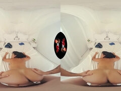 Perse, Isot tissit, Suihinotto, Ruskeahiuksinen, Latinankieli, Ratsastaa