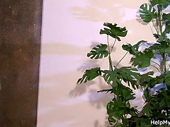 浮気者, 浮気する, カワイイ, チン, 酔っぱらう, Hd, 旦那, 妻