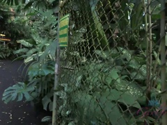 Пляж, Пальцем, Эксгибиционист, Ласковые ручки, Поцелуи, Мастурбация, На природе, Подглядывание