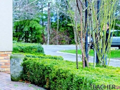 Tetas grandes, Rubia, Tetona, Madres para coger, Tetas naturales, Ruso, Maestra, Adolescente