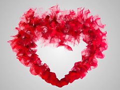 크고 아름다운 여자, 금발의, 오랄섹스, 영국인, 하드코어, 나이든, 엄마, 보지