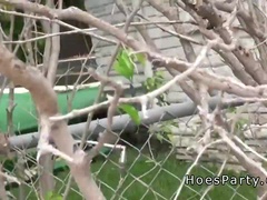 Μαθήτρια, Κολλέγιο, Κουαρτέτο, Ομάδα, Τεράστιος, Πάρτυ, Πραγματικότητα, Βυζιά