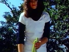 Συνδυασμός, Μαλλιαρός, Σκληρό, Άξεστος, Ρετρό