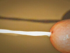 Amateur, Corridas, Gay, Pajear, Indio