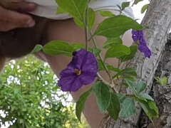 Watch Me Jerking off Outdoors While Hiding Behind a Tree