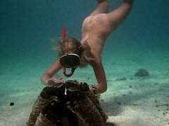 Iso perse, Iso kulli, Isot tissit, Suihinotto, Takaapäin, Äiti jota haluaisin panna, Vuosikerta