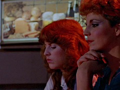 Anaali, Suihinotto, Kermakakku, Spermashotti, Ryhmäpano, Käsihoito, Rankka, Vuosikerta